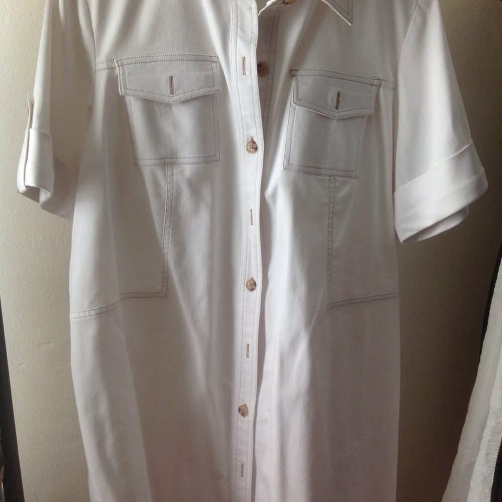 Lane Bryant Stretch Denim Dress